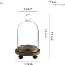 將圖片載入圖庫檢視器 进口 整个家庭用品 | 迷你钟形玻璃圆顶，带木制底座3套 | DIY雪球 | 用于展示食物，植物和蜡烛 | 玻璃钟形圆顶核心
