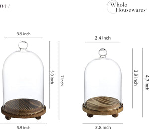 进口 整个家庭用品 | 迷你钟形玻璃圆顶，带木制底座3套 | DIY雪球 | 用于展示食物，植物和蜡烛 | 玻璃钟形圆顶核心