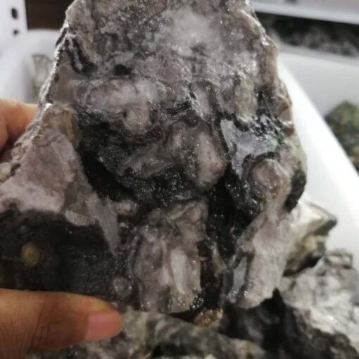 能量水晶正品~天然贝壳石原石 原矿物晶体 大块原石雕刻料：圖片 4