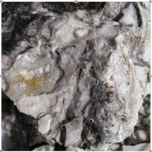 能量水晶正品~天然贝壳石原石 原矿物晶体 大块原石雕刻料：圖片 5