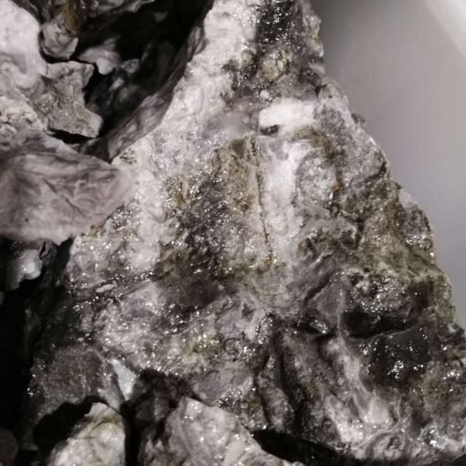 能量水晶正品~天然贝壳石原石 原矿物晶体 大块原石雕刻料：圖片 2