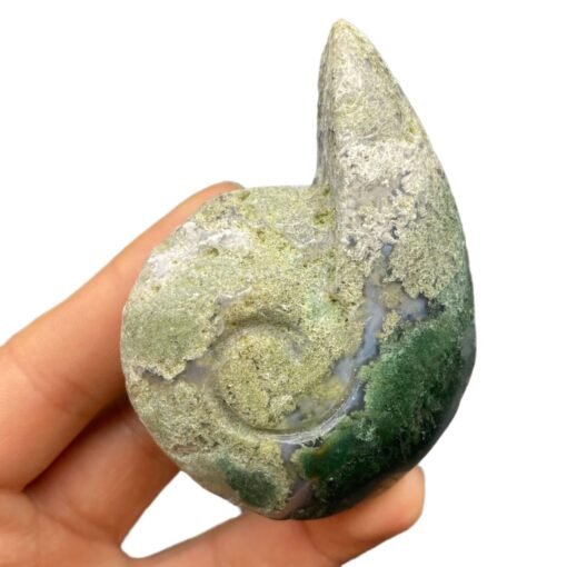 天然水草玛瑙蜗牛精品水晶手工雕刻件桌面摆件手工雕刻件：圖片 5