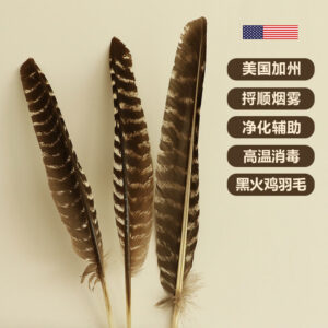 美国加州黑火鸡羽毛白鼠尾草净化引导羽毛风元素祭坛仪式圣品
