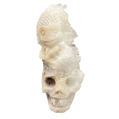 天然水晶晶簇头骨精品水晶手工雕刻件桌面摆件雕刻件装饰：圖片 4