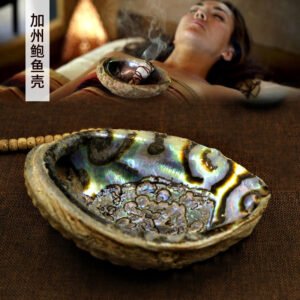 现货 Wicca白鼠尾草烟熏配件贝壳+圣木支架 祭坛仪式用品