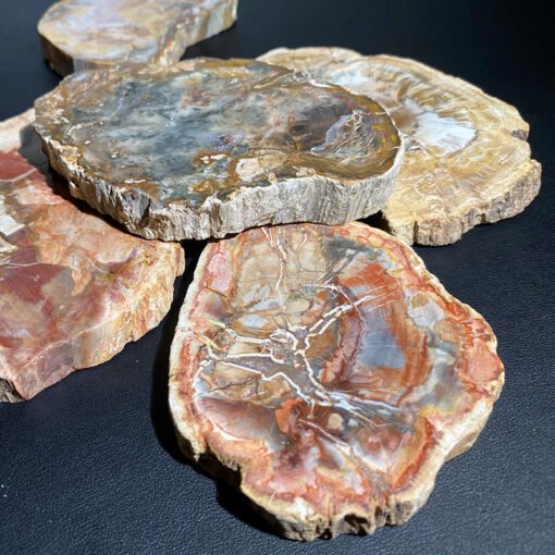 能量晶石收藏~天然木化石原石切片木化玉摆件造景石观赏家居摆饰水晶能量疗愈石：圖片 2