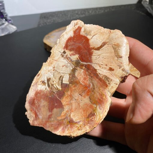 能量晶石收藏~天然木化石原石切片木化玉摆件造景石观赏家居摆饰水晶能量疗愈石：圖片 3