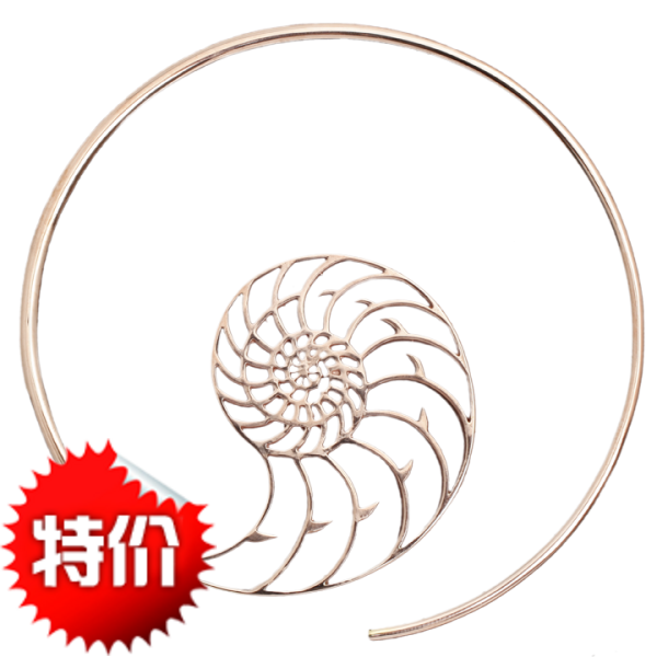 美国玛雅永恒耳环(一对)【灵感来自海洋的力量,带上永恒的感激