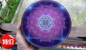 克罗地亚灵气师手工大号Orgone【疗愈盘20CM】能量盘DNA修复2公斤