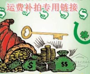 此链接为补拍运费等差价